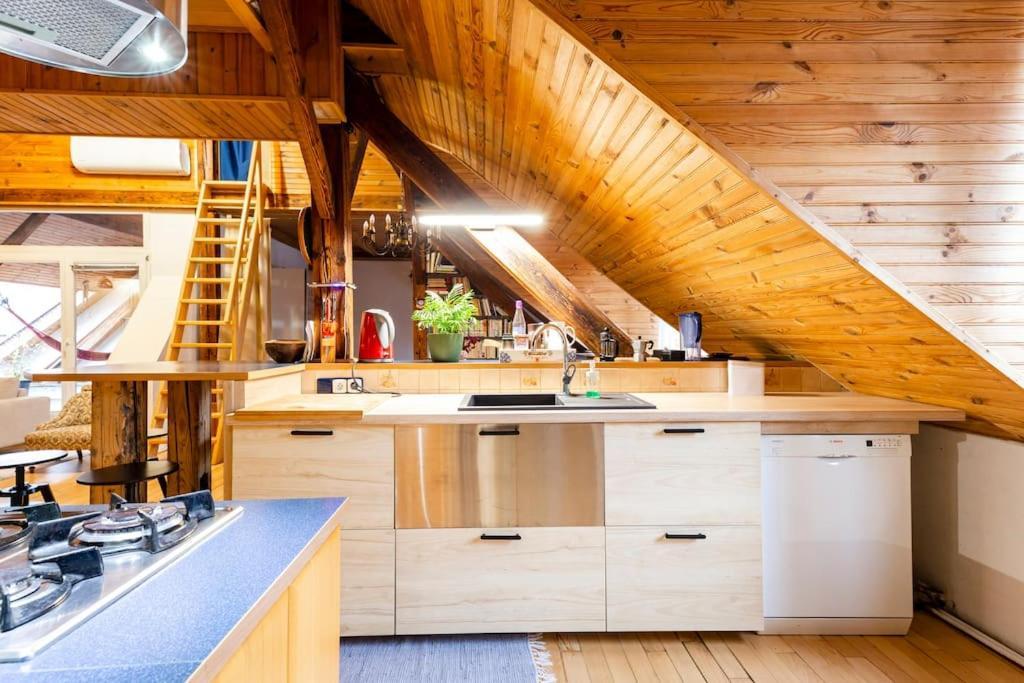 Rooftop 180M2 Loft With Private Sauna, 브라티슬라바 외부 사진