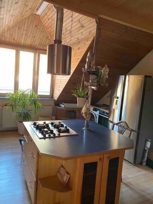 Rooftop 180M2 Loft With Private Sauna, 브라티슬라바 외부 사진